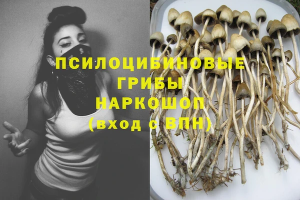 бутират Алексеевка