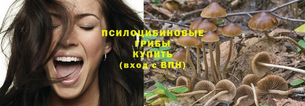 соль ск Алзамай
