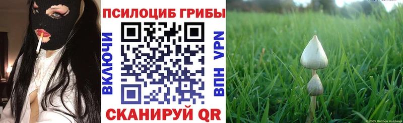 Псилоцибиновые грибы GOLDEN TEACHER  Бабаево 